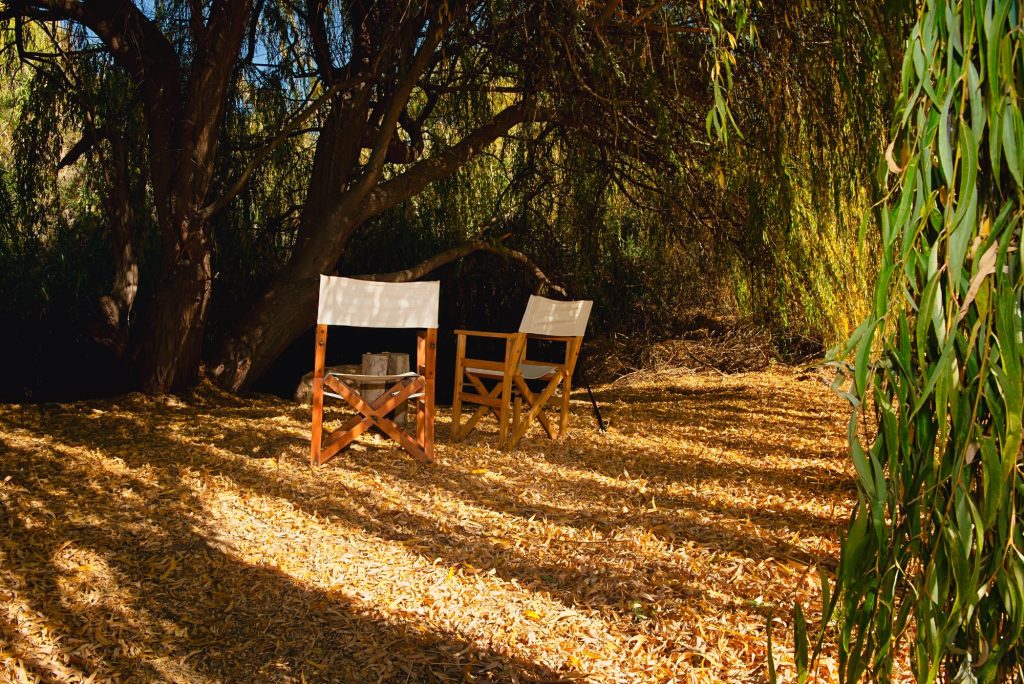 Mesa y sillas en el jardín bajo los árboles