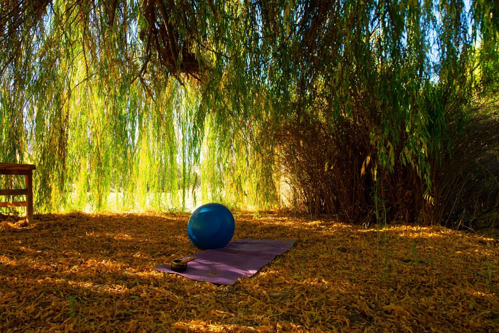 Espacio de descanso y bienestar en el jardín